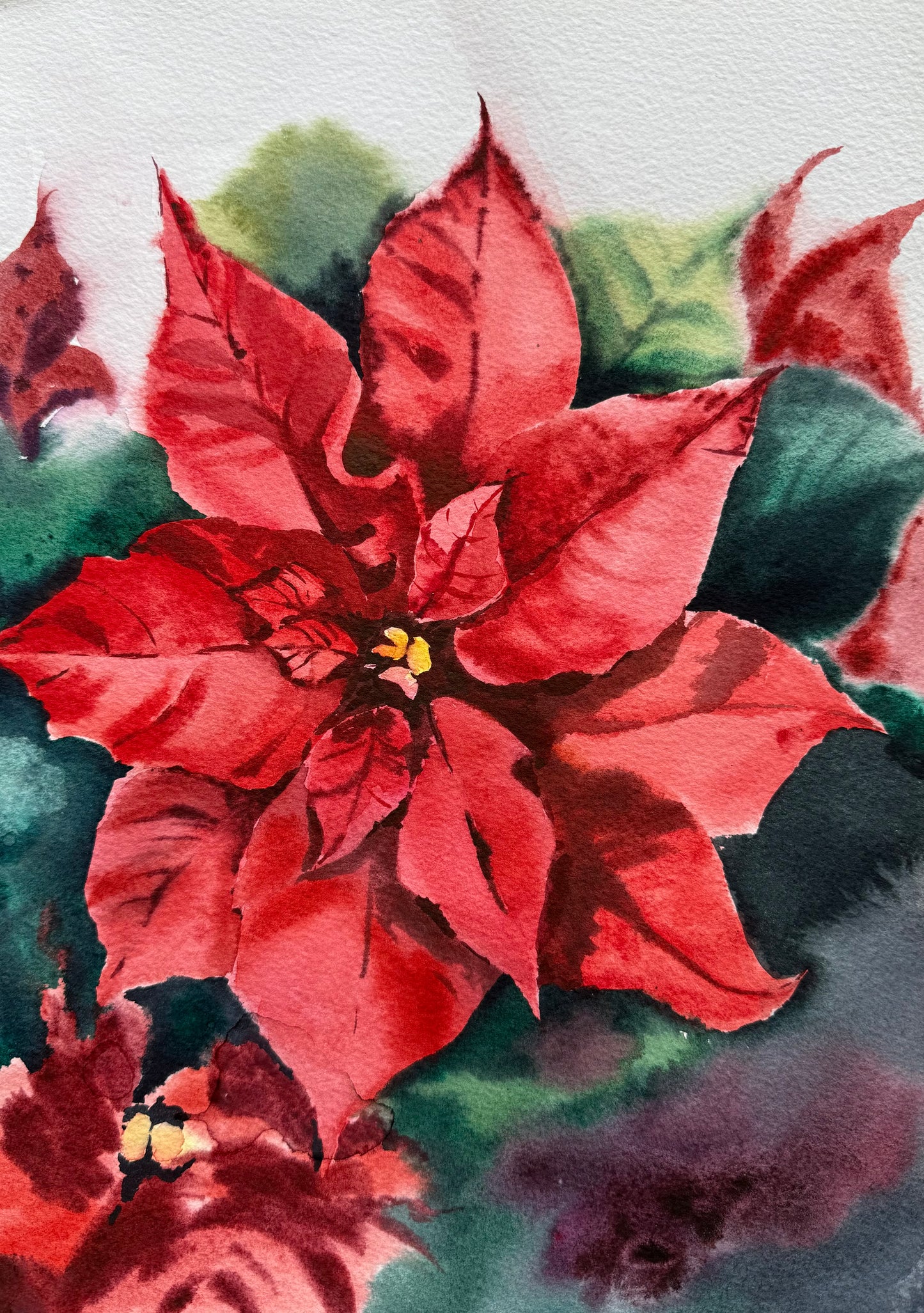 Poinsettia Flame (Original watercolor)